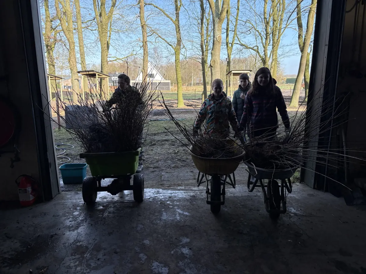 Voorboren van plantgaten met een grondboor op het terrein