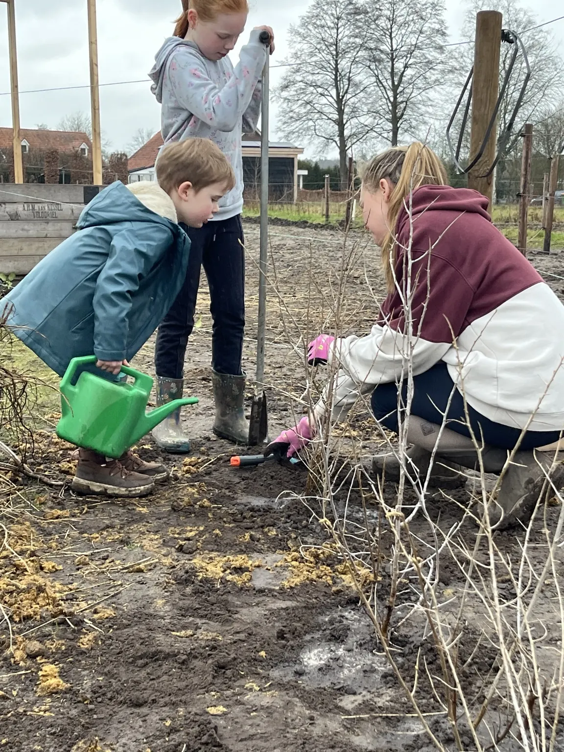 Kinderen helpen met het planten en water geven van jonge bomen