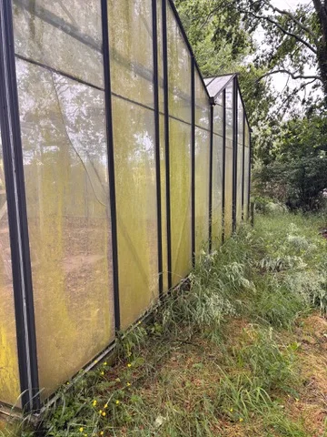 Groene aanslag op de kasramen en hoog onkruid langs de gevel voor de verbouwing